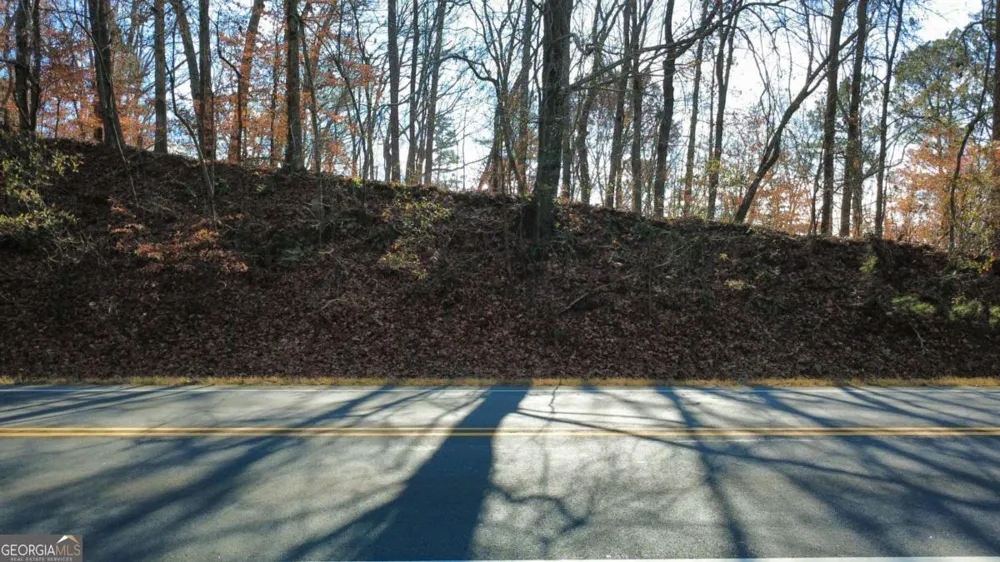 00001 Matt HWY Ball Ground, GA 30107