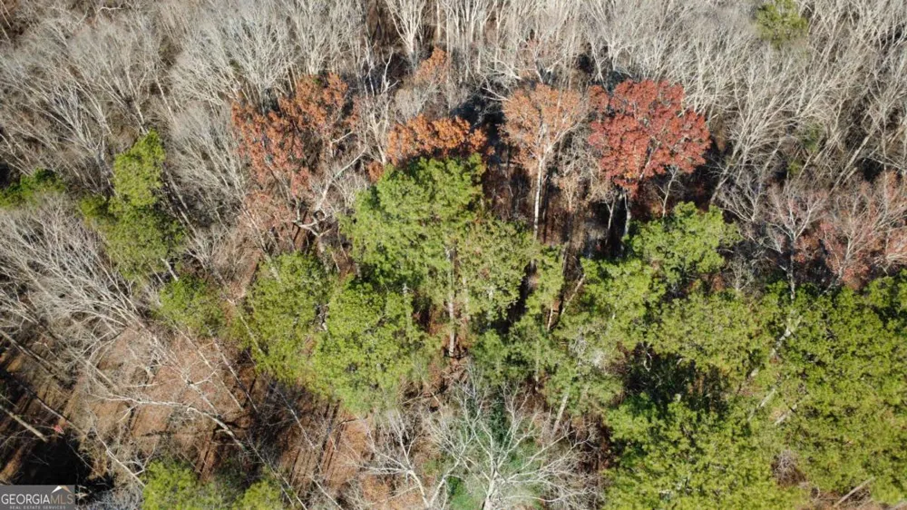 00001 Matt HWY Ball Ground, GA 30107