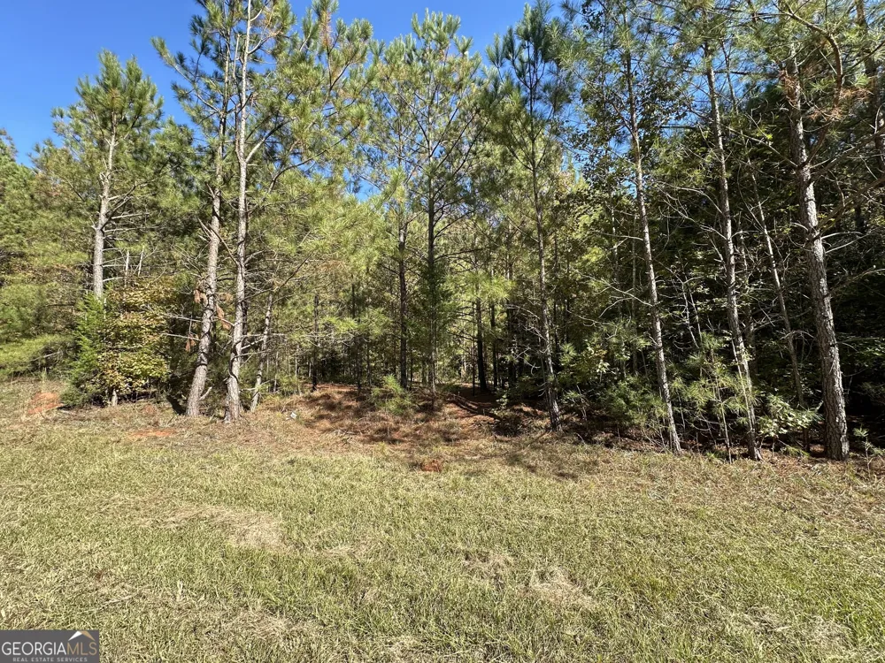 0 Crook RD Lincolnton, GA 30817