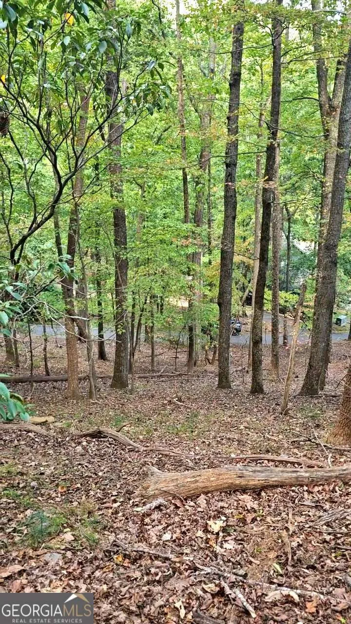 315 Windflower DR Big Canoe, GA 30143