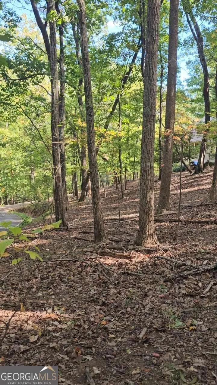 315 Windflower DR Big Canoe, GA 30143
