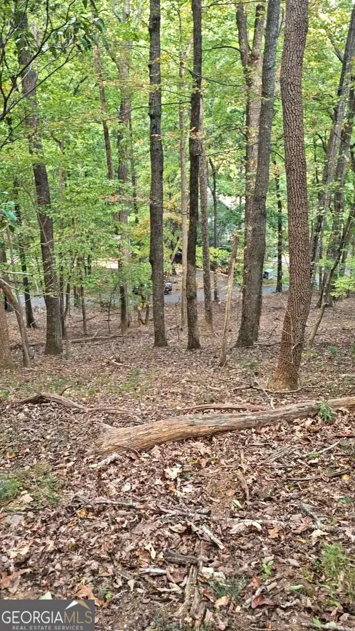 315 Windflower DR Big Canoe, GA 30143
