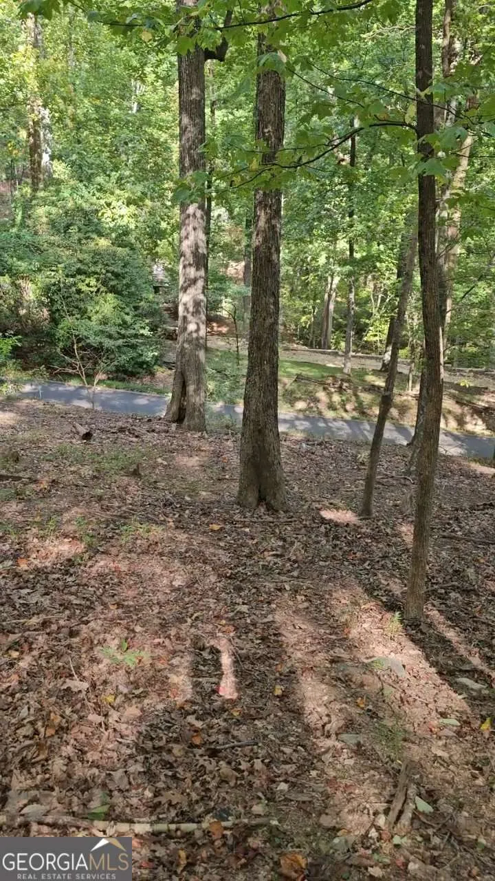 315 Windflower DR Big Canoe, GA 30143