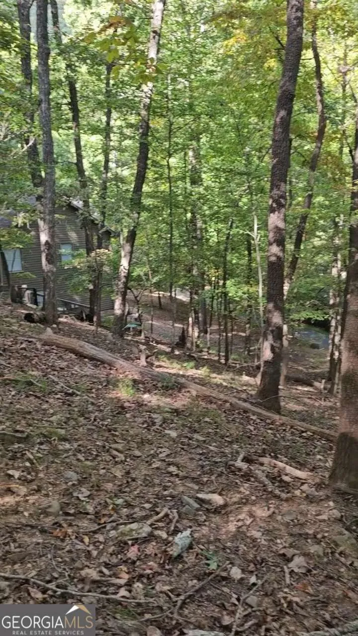 315 Windflower DR Big Canoe, GA 30143