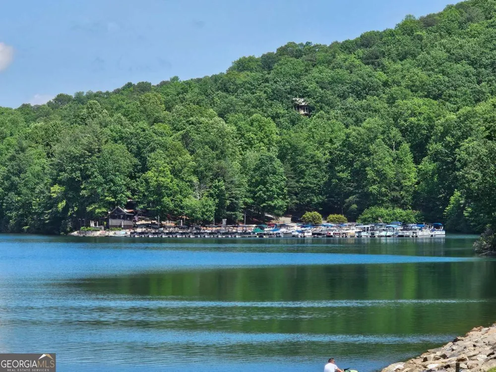 315 Windflower DR Big Canoe, GA 30143