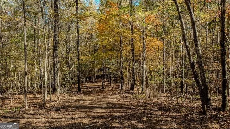 0 Jones Ferry RD Chattahoochee Hills, GA 30268