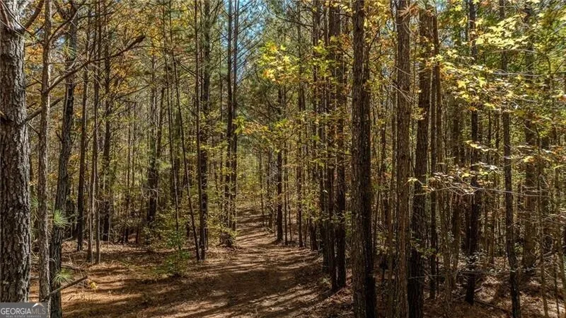 0 Jones Ferry RD Chattahoochee Hills, GA 30268