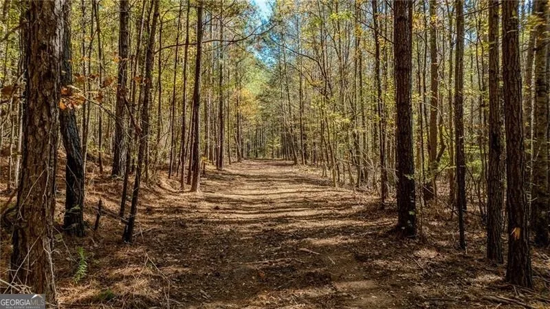 0 Jones Ferry RD Chattahoochee Hills, GA 30268