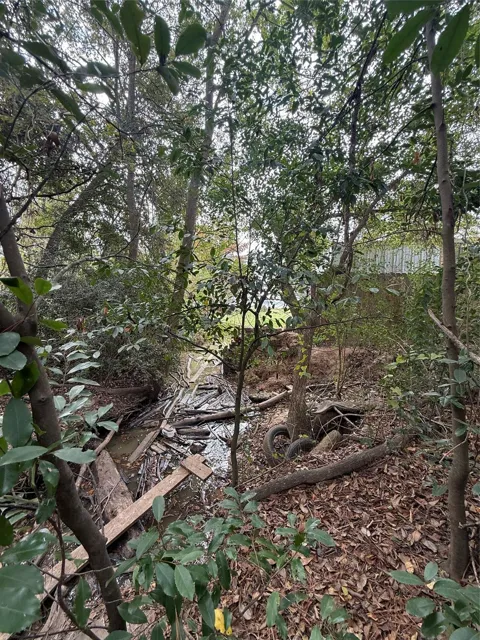 Sequoia Drive