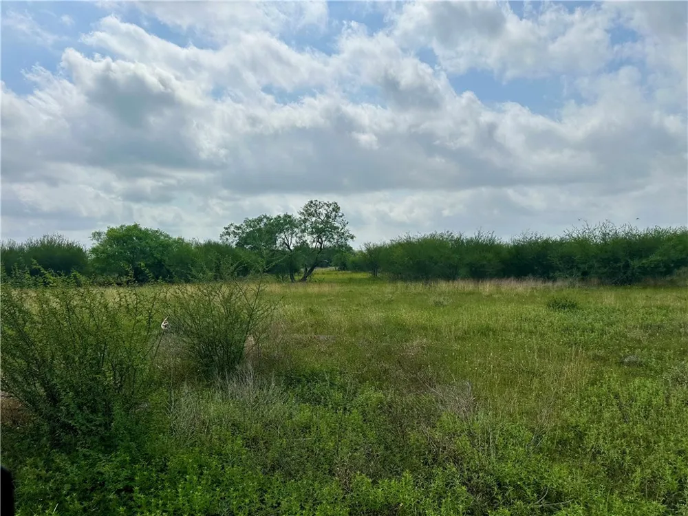 Old Goliad Rd- Tract 17 Refugio, TX 78377