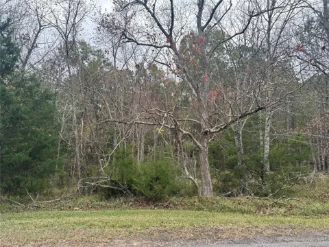 22 S Forest Cove Loop