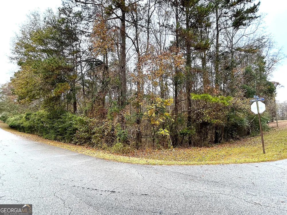 101 Ivy Springs DR LaGrange, GA 30240