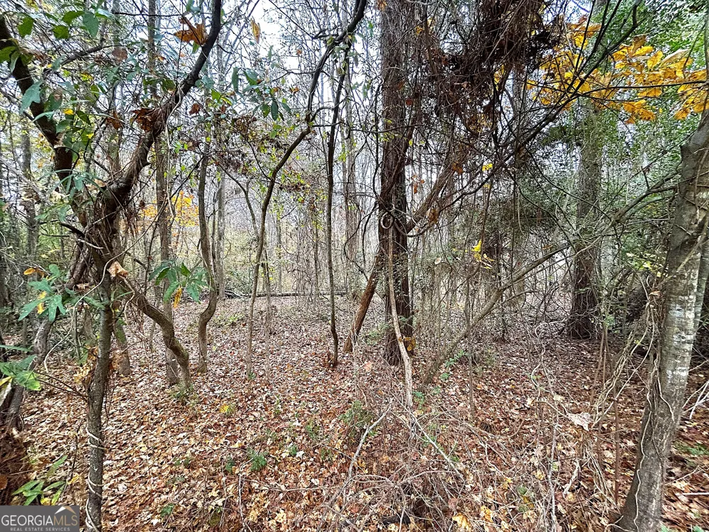101 Ivy Springs DR LaGrange, GA 30240