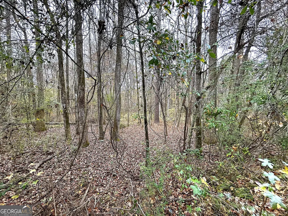 101 Ivy Springs DR LaGrange, GA 30240