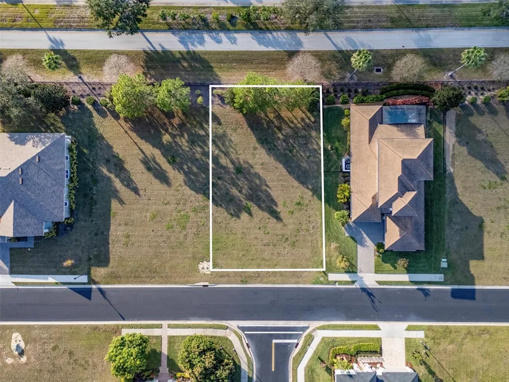 171 BLAZING STAR AVENUE Lake Alfred, FL 33850