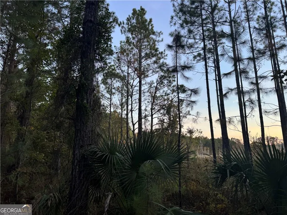 LOT 357 Wood Stork WAY Waverly, GA 31565
