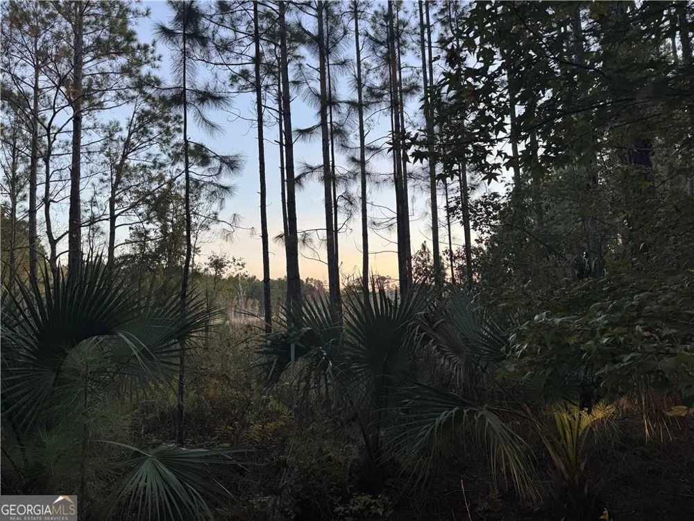 LOT 357 Wood Stork WAY Waverly, GA 31565