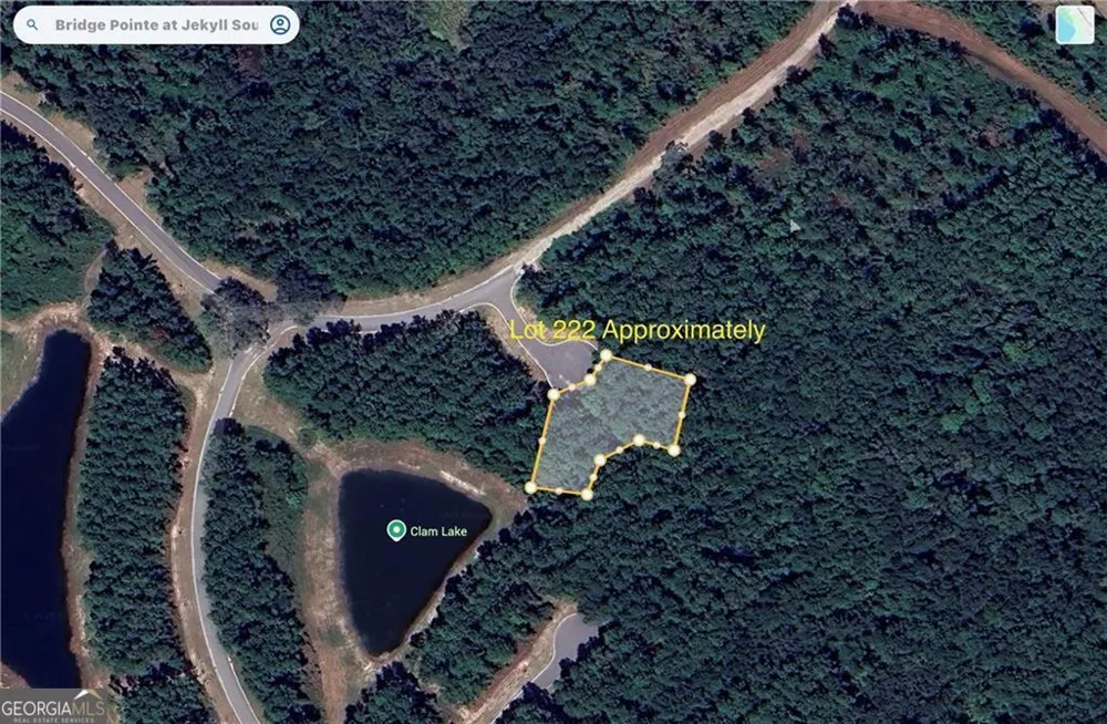 LOT 222 Clam CRK Waverly, GA 31565