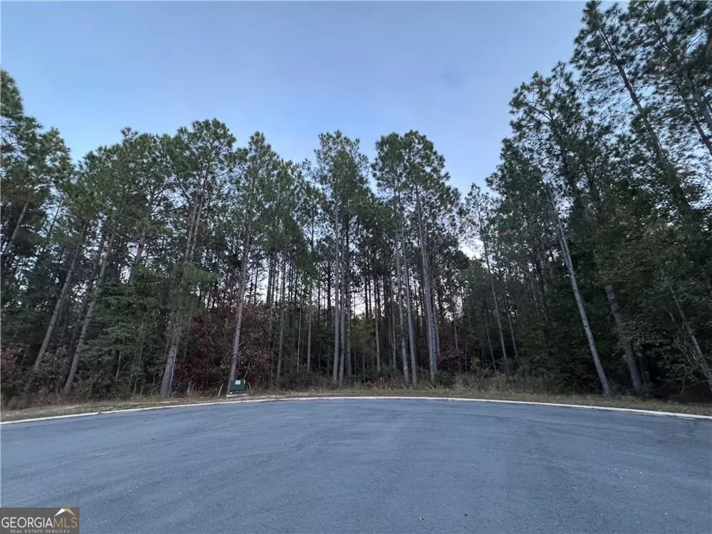 LOT 222 Clam CRK Waverly, GA 31565