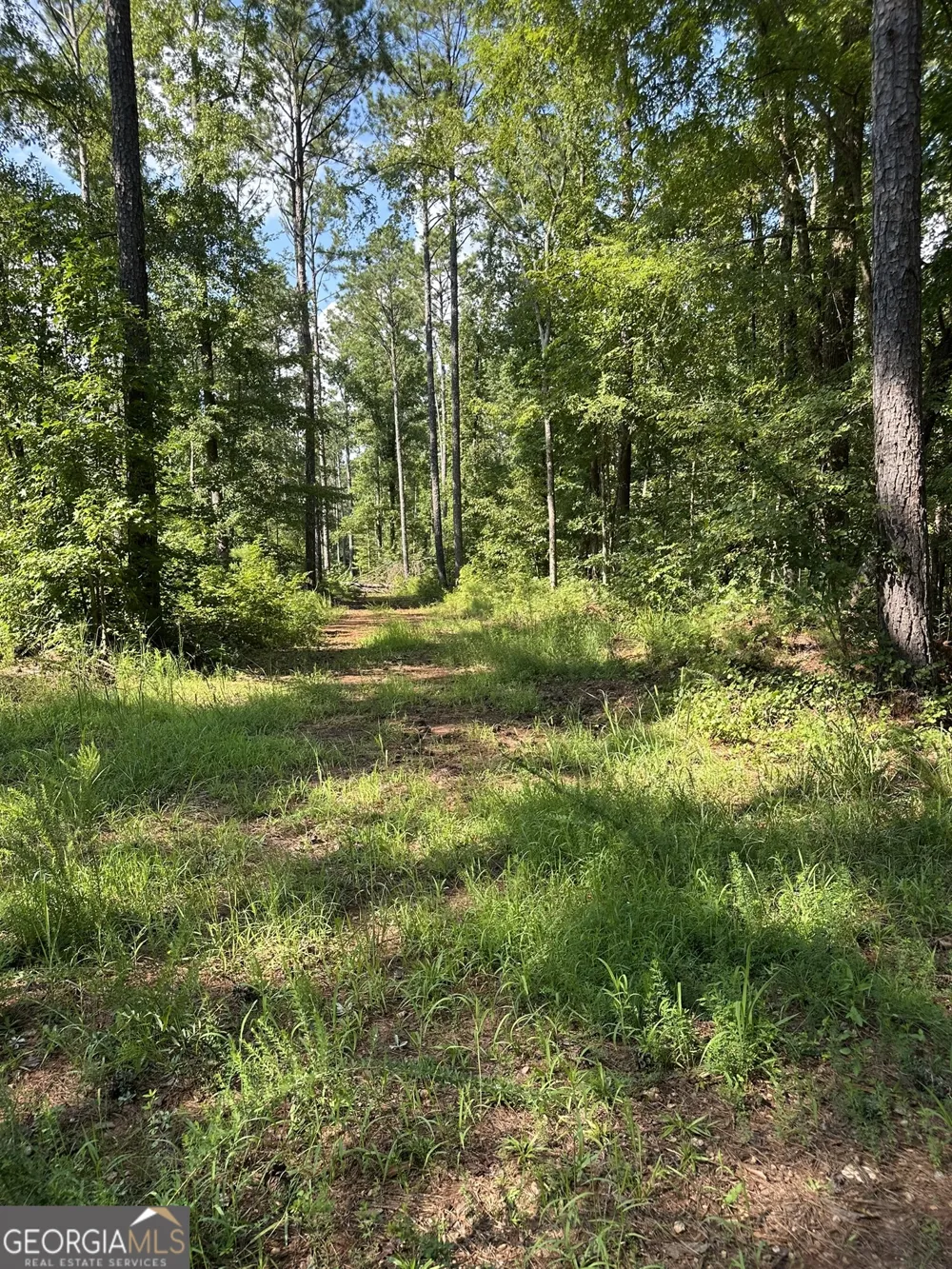 0 Fears RD Madison, GA 30650