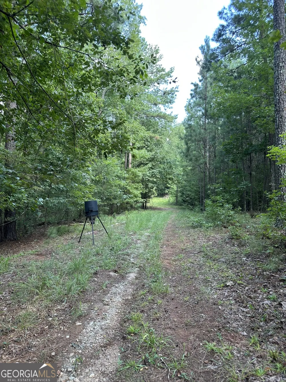 0 Fears RD Madison, GA 30650