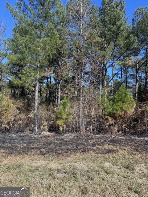 137 W Drummond RD