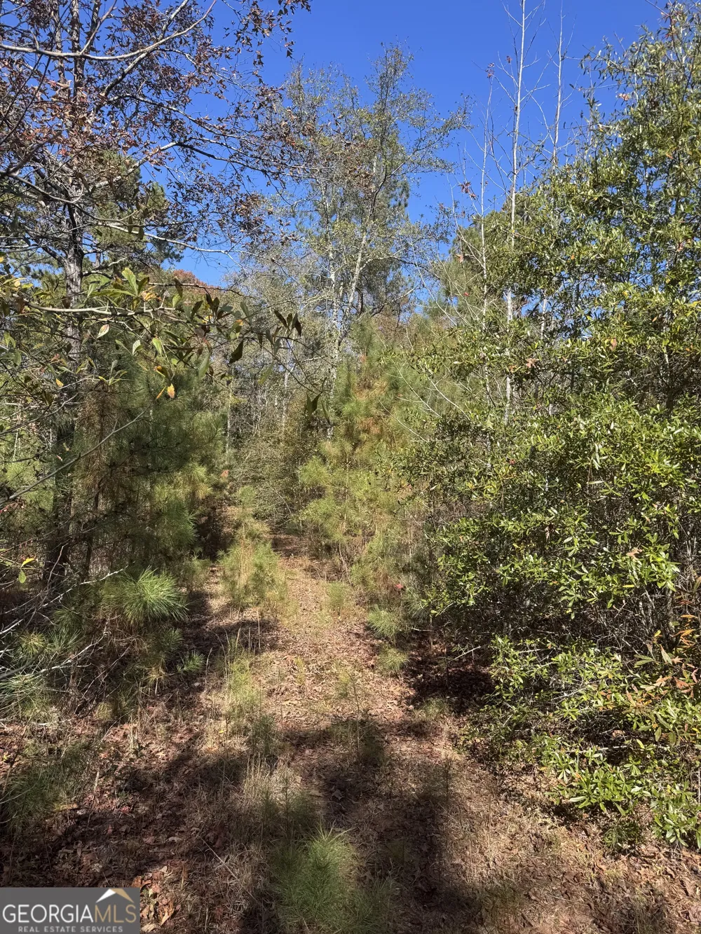 143 W Drummond RD West Point, GA 31833