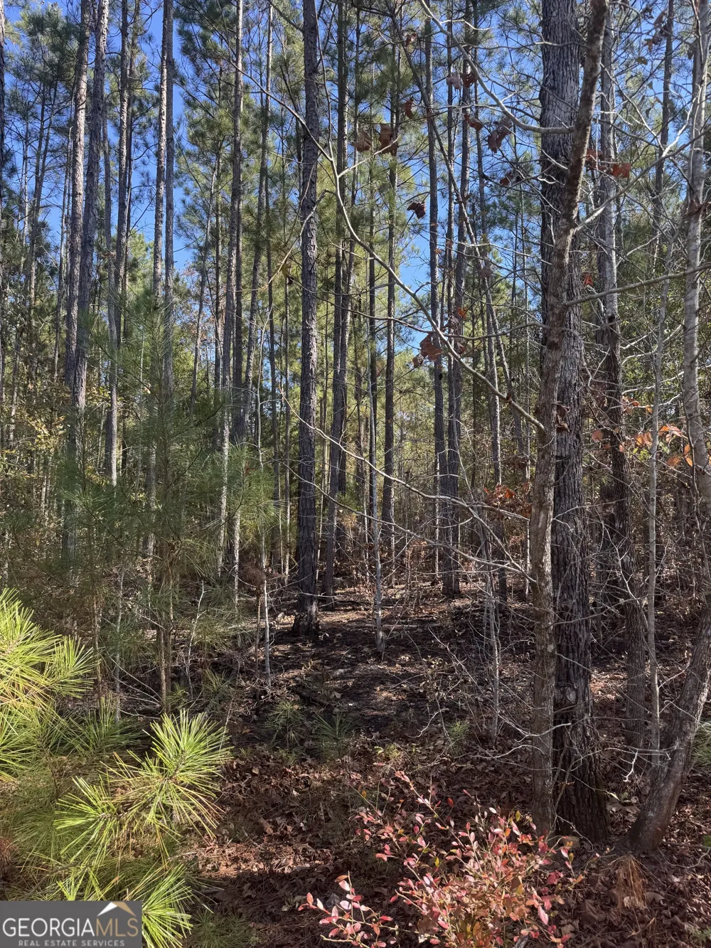 143 W Drummond RD West Point, GA 31833