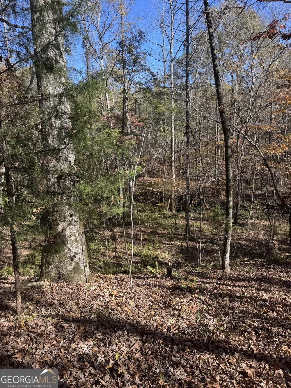 143 W Drummond RD West Point, GA 31833