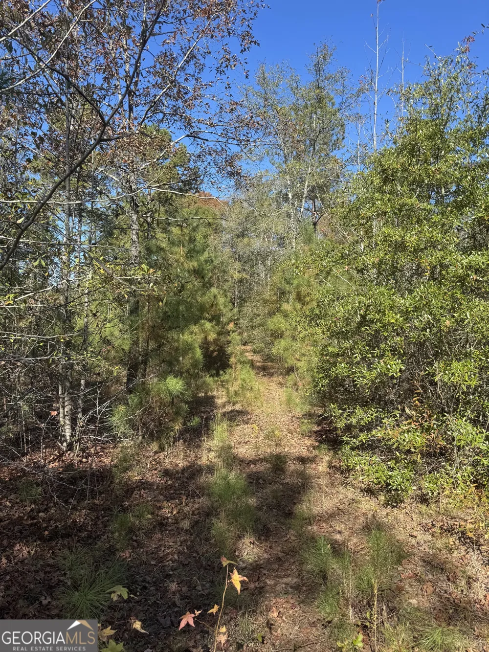 143 W Drummond RD West Point, GA 31833
