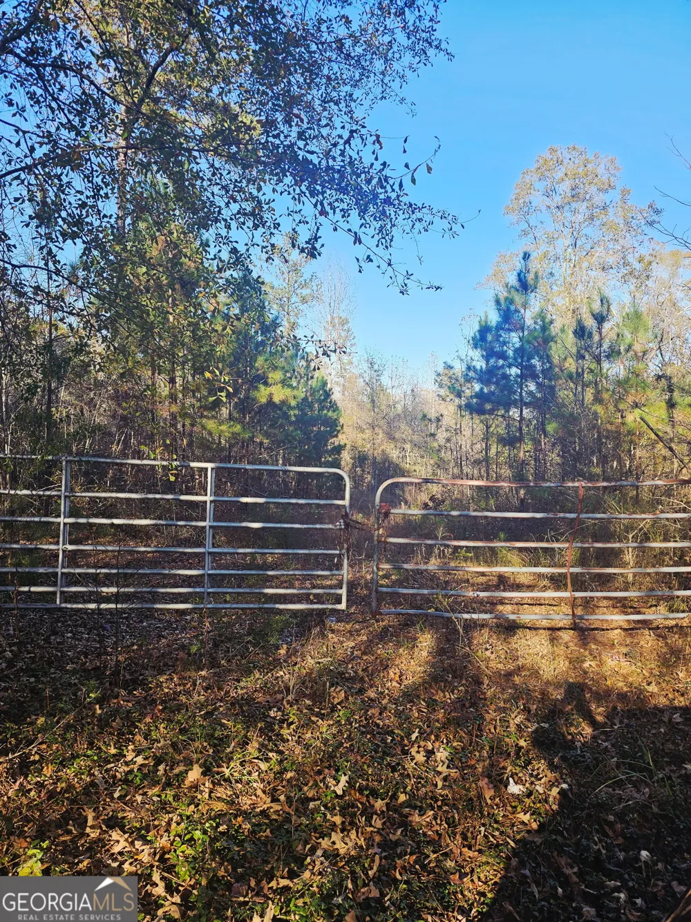 2199 Rehoboth RD Griffin, GA 30223