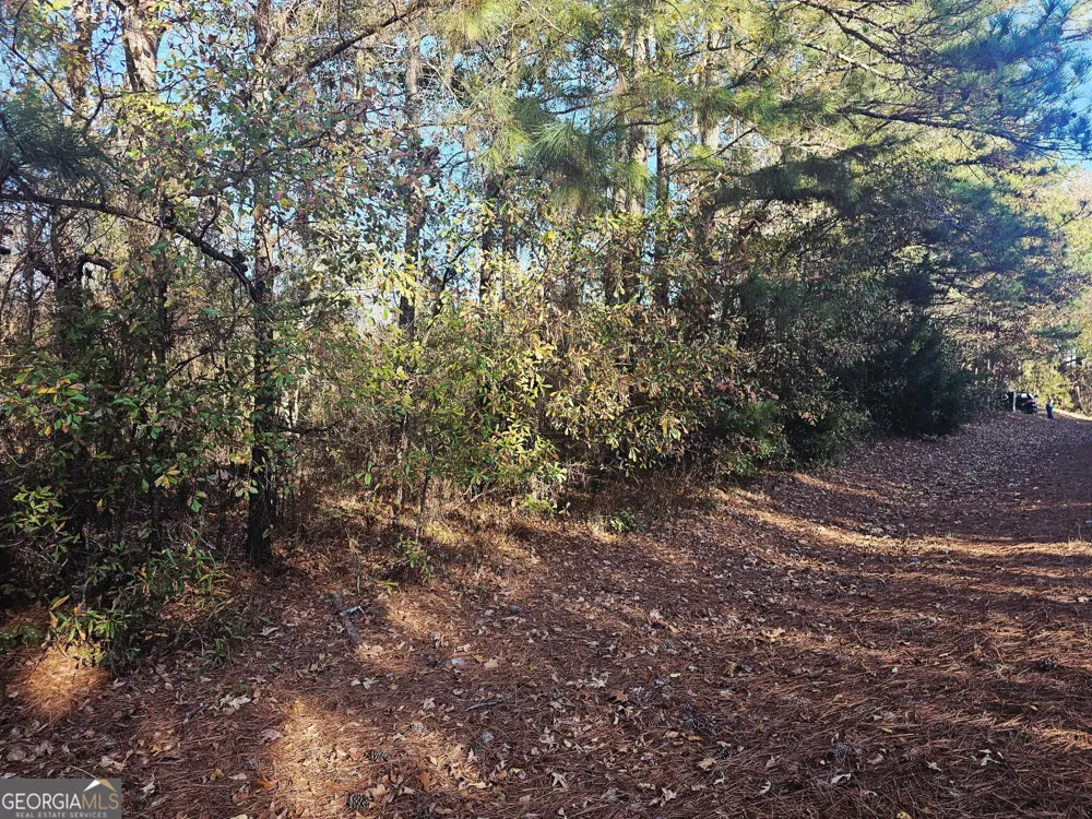 2199 Rehoboth RD Griffin, GA 30223