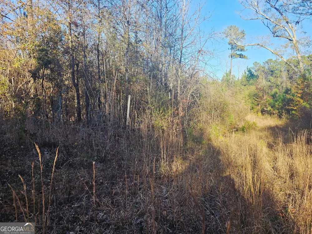 2199 Rehoboth RD Griffin, GA 30223