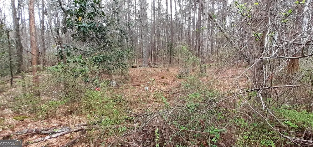 100 Lovelace ST Newnan, GA 30263