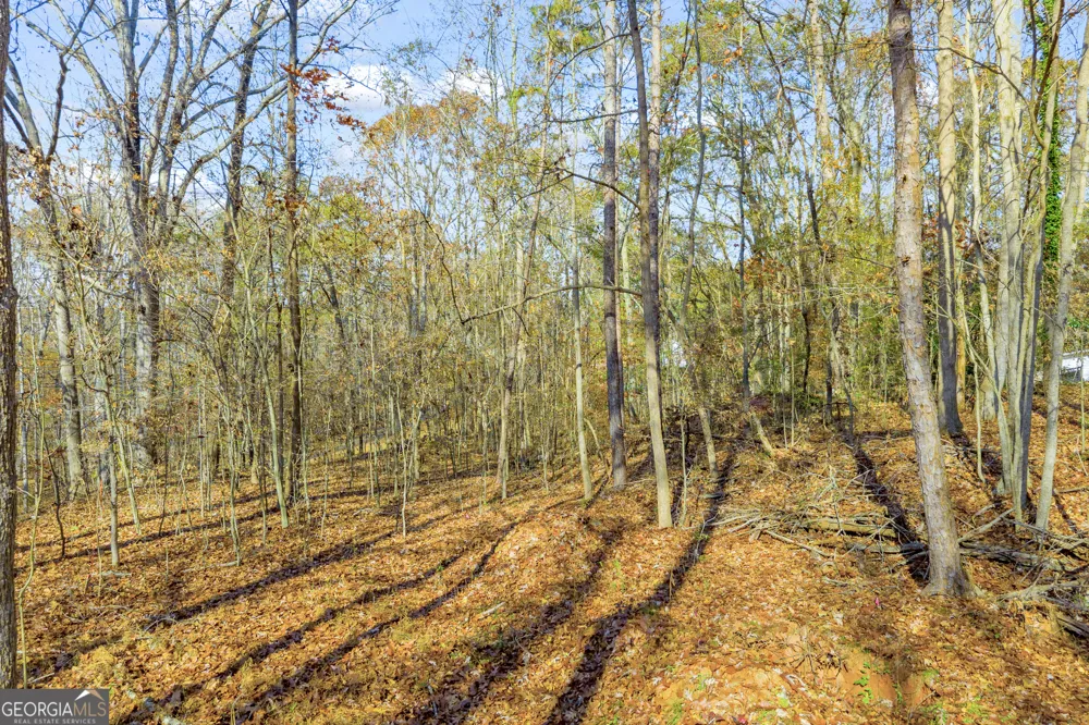 0316 Arrowhead DR Lavonia, GA 30553