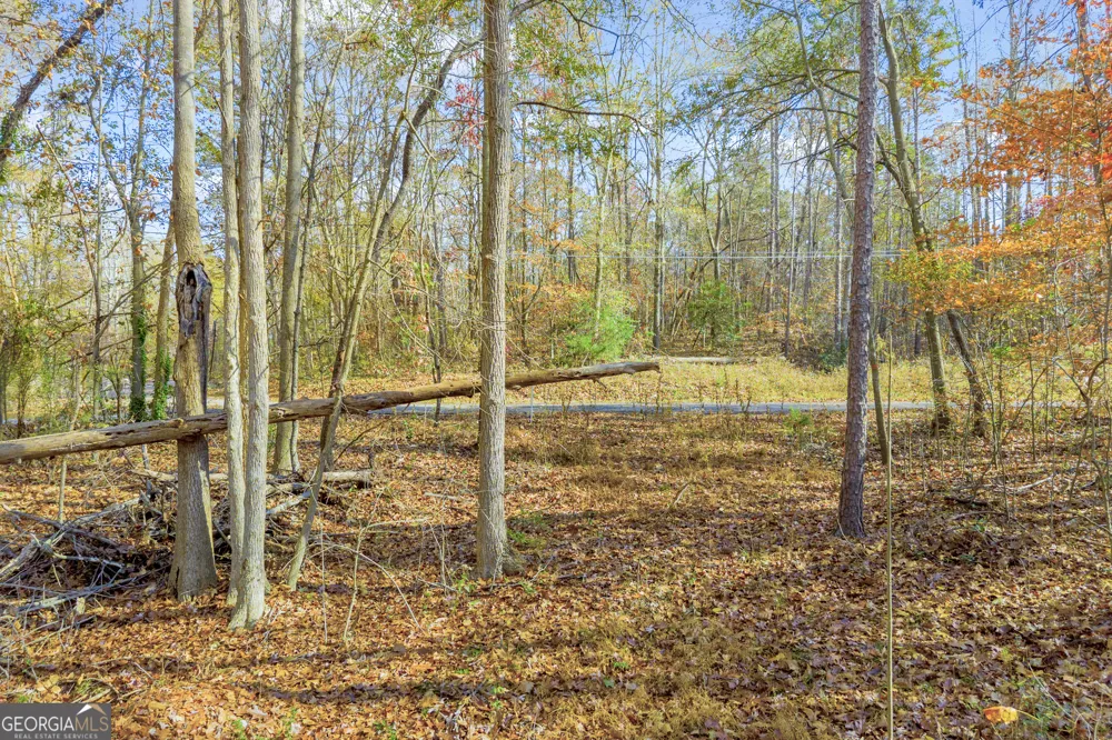 0316 Arrowhead DR Lavonia, GA 30553