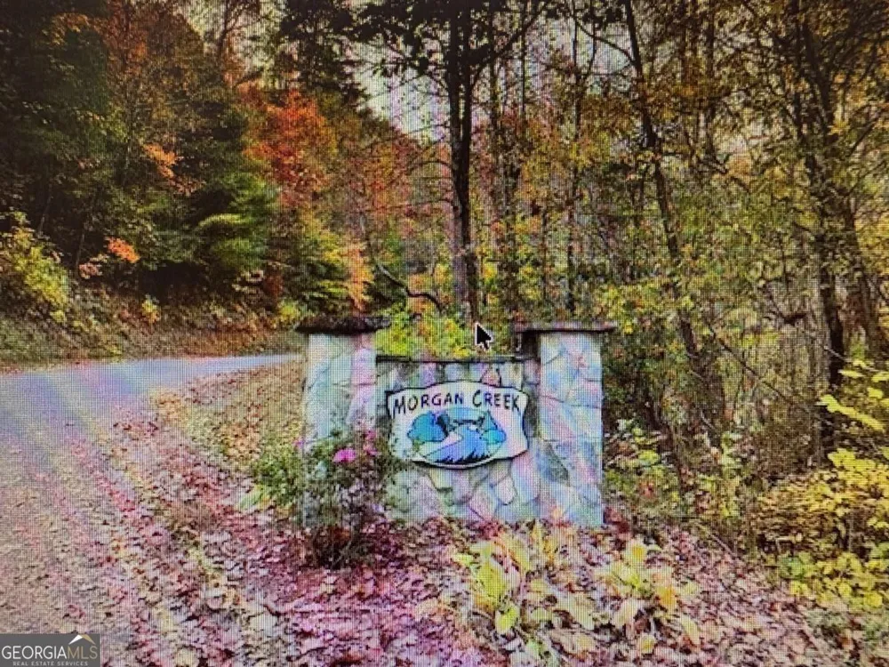 6 Morgan Creek Lot 6 Young Harris, GA 30582