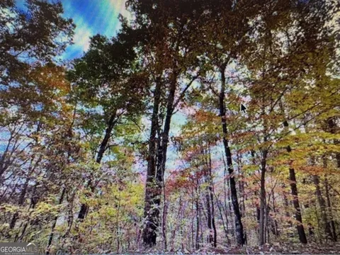 6 Morgan Creek Lot 6