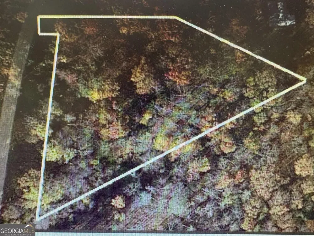 6 Morgan Creek Lot 6 Young Harris, GA 30582