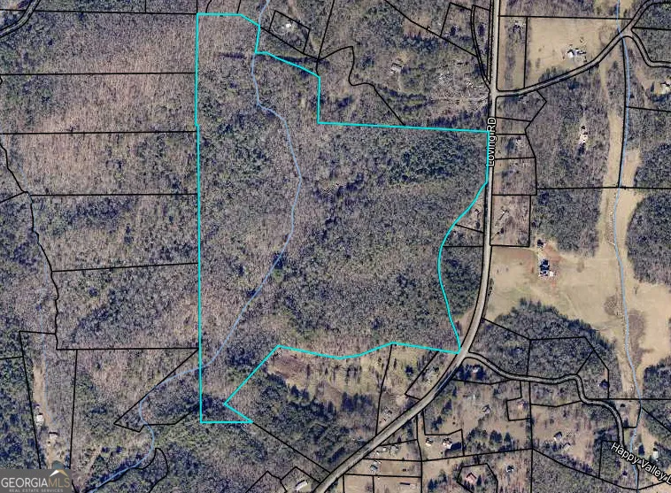 0 Loving RD Morganton, GA 30560