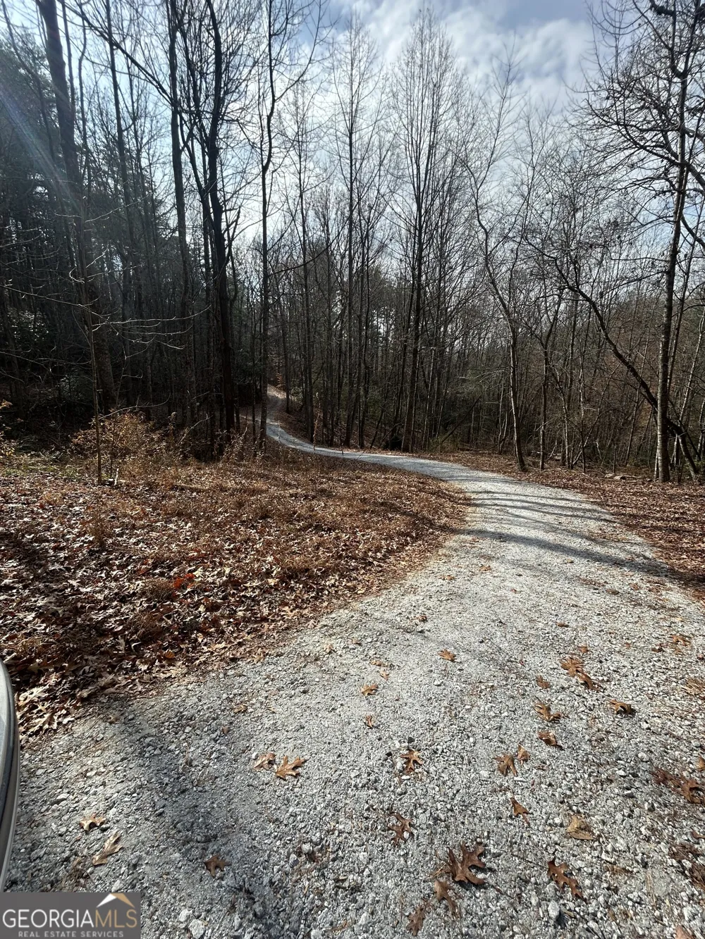 0 Amaryllis LN Tiger, GA 30576