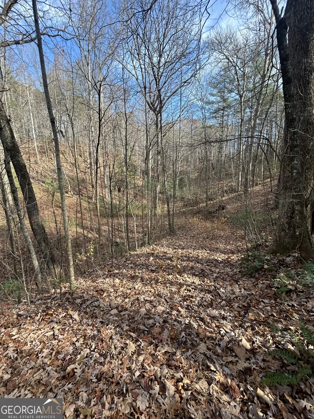0 Amaryllis LN Tiger, GA 30576