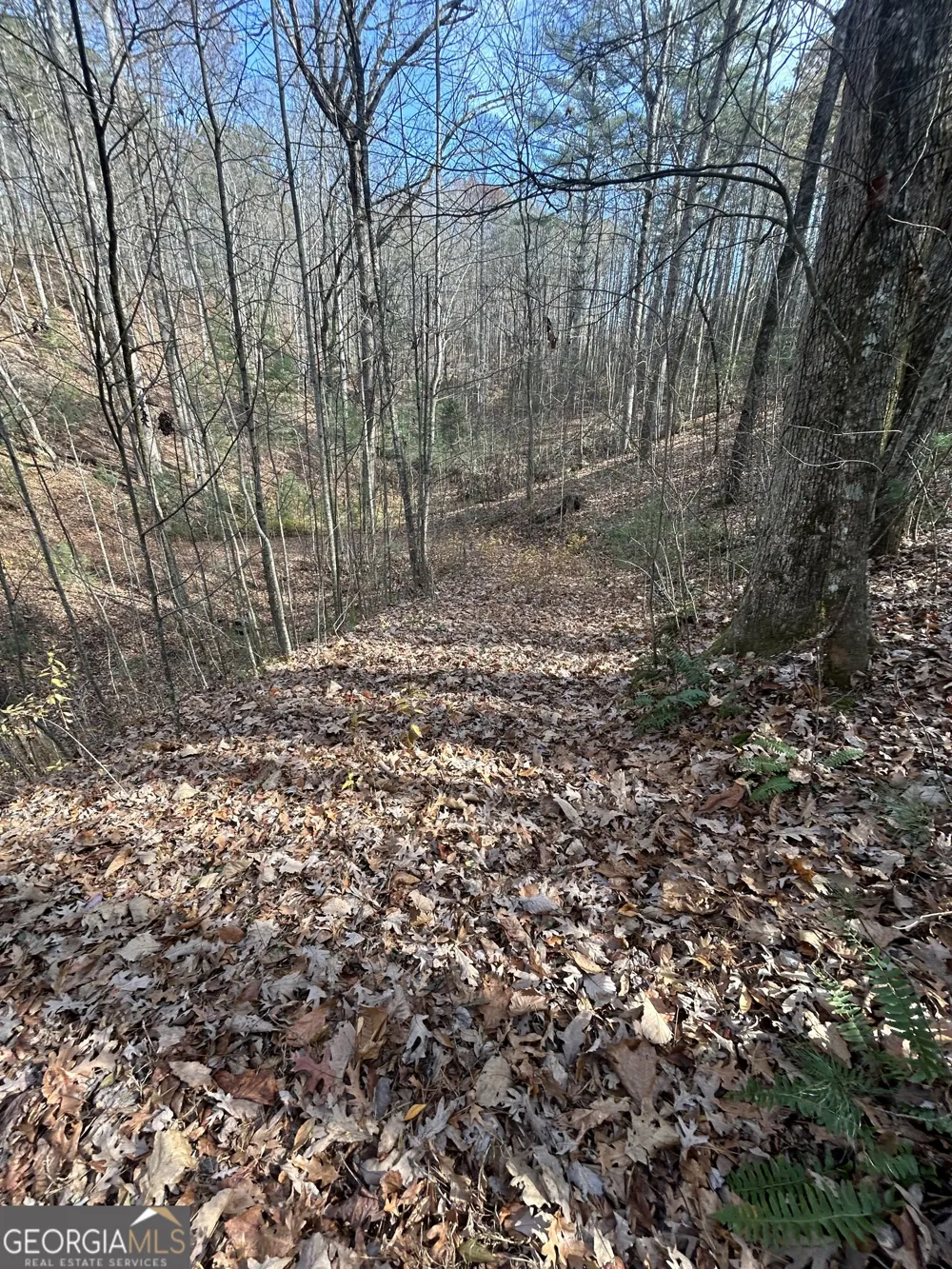 0 Amaryllis LN Tiger, GA 30576