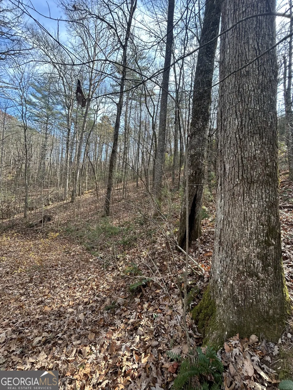 0 Amaryllis LN Tiger, GA 30576