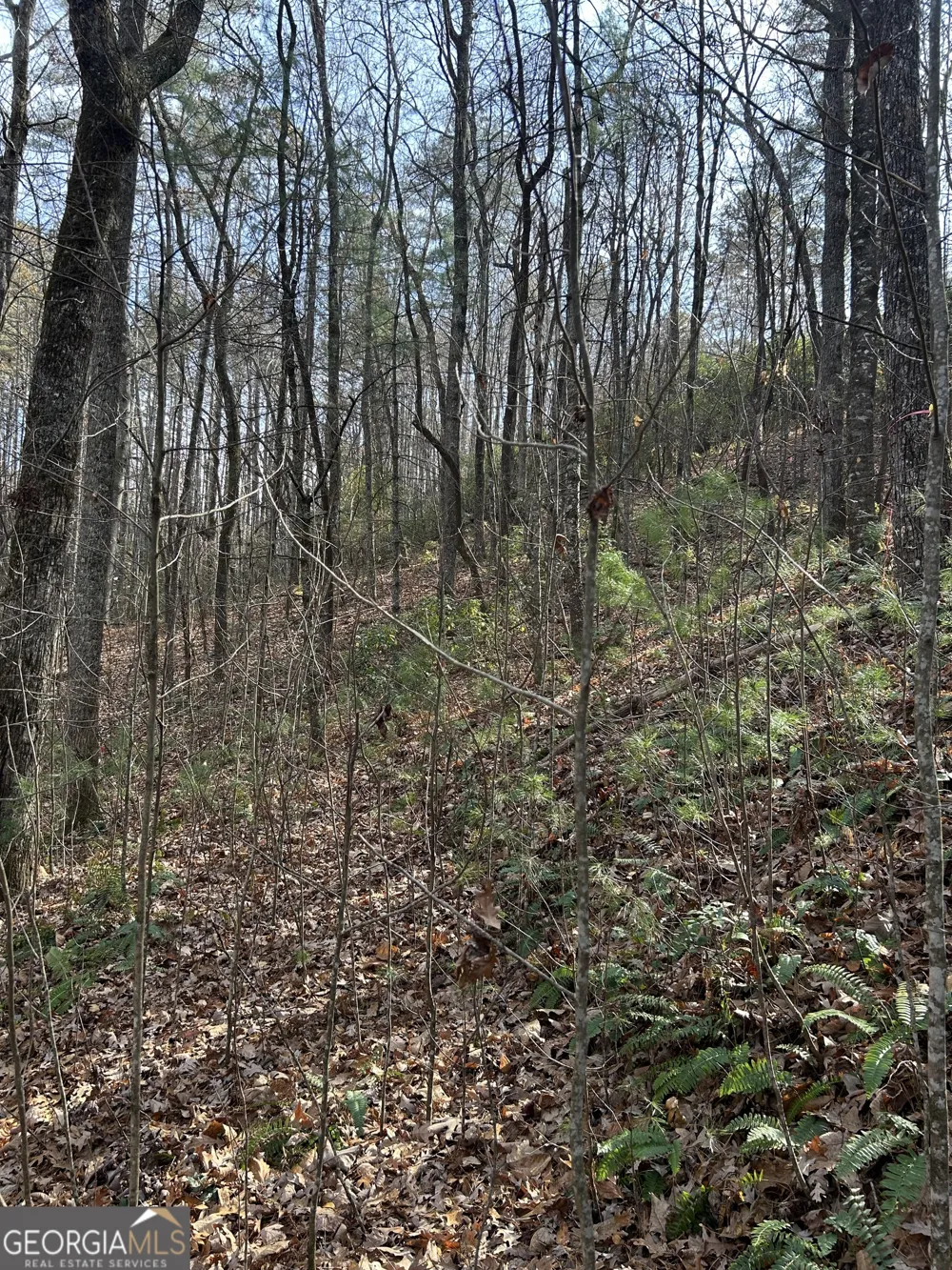 0 Amaryllis LN Tiger, GA 30576