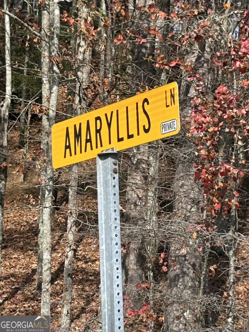 0 Amaryllis LN Tiger, GA 30576