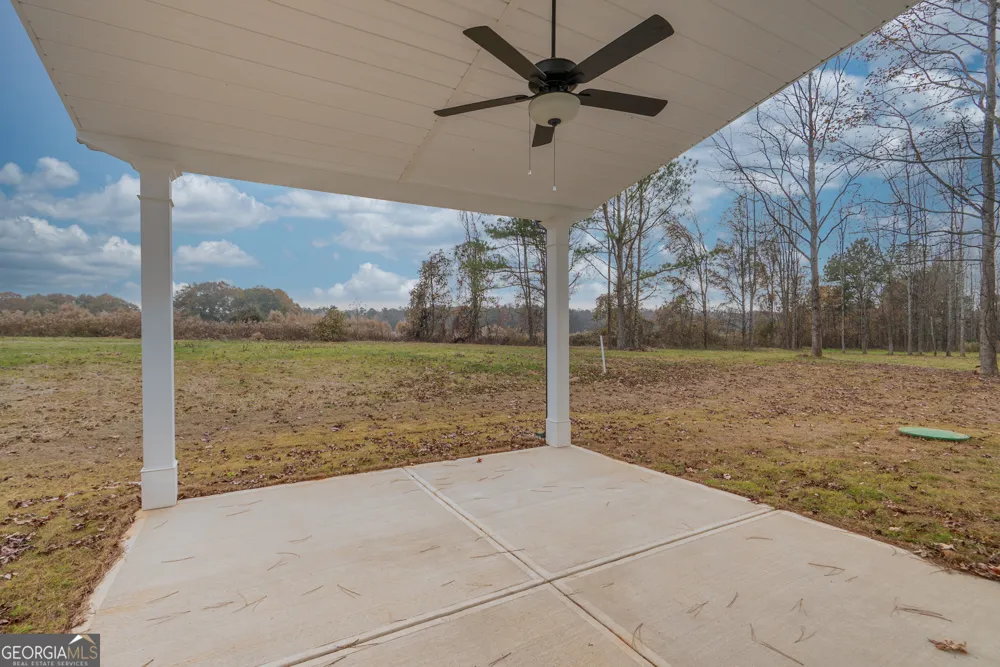 224 Good Hope Preserve Good Hope, GA 30641