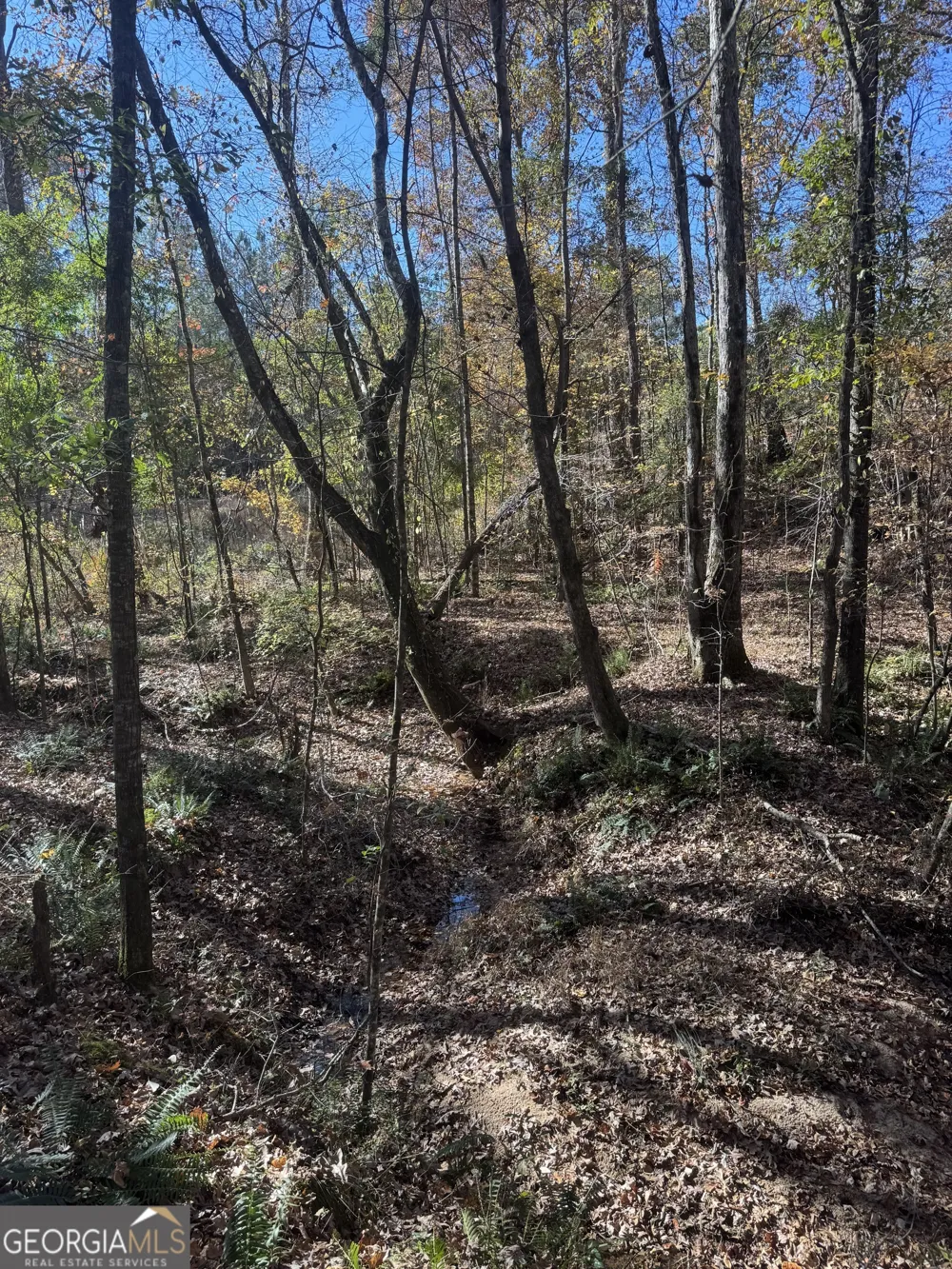 4517 Hwy 18 West Point, GA 31833