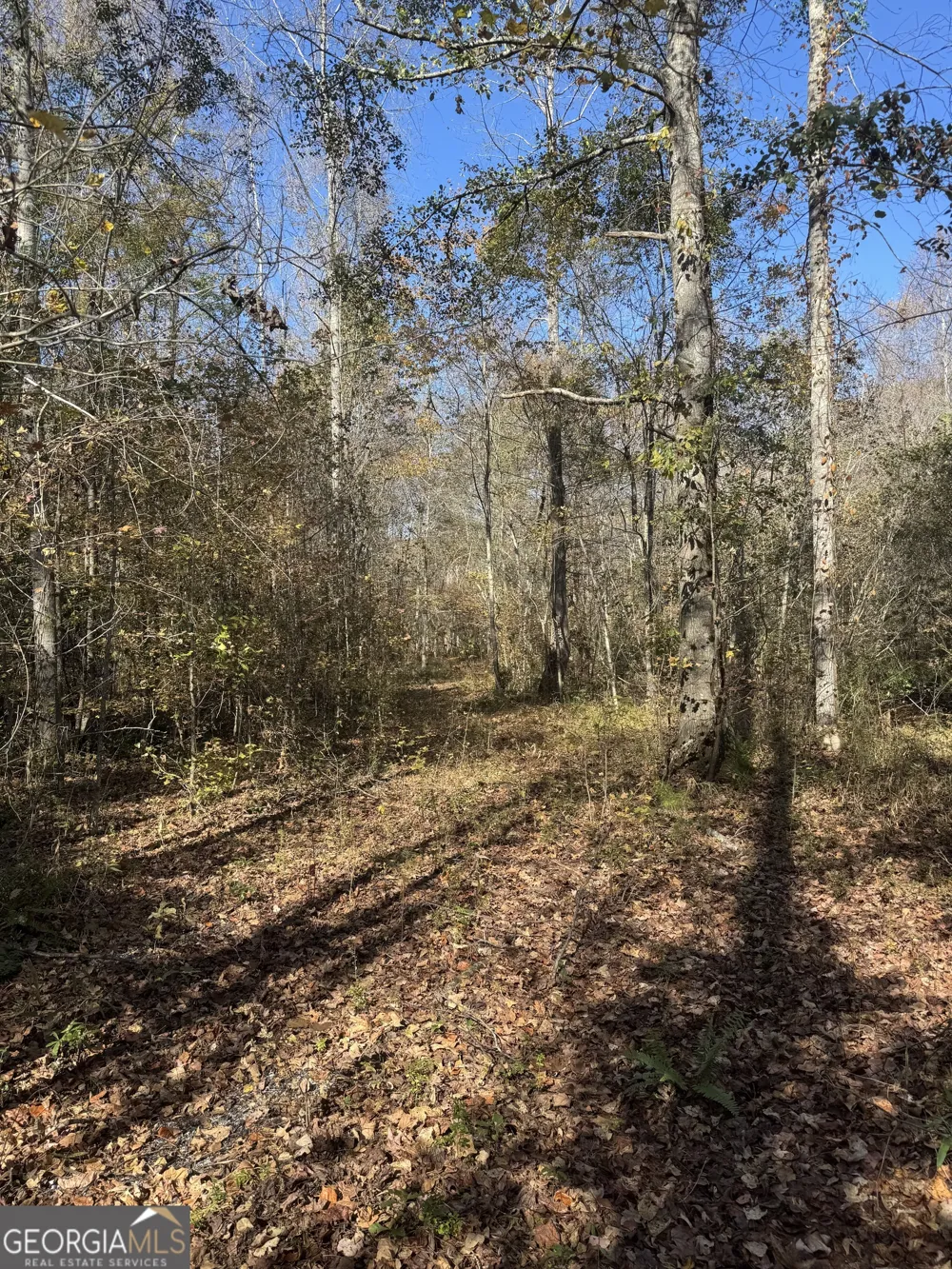 4517 Hwy 18 West Point, GA 31833