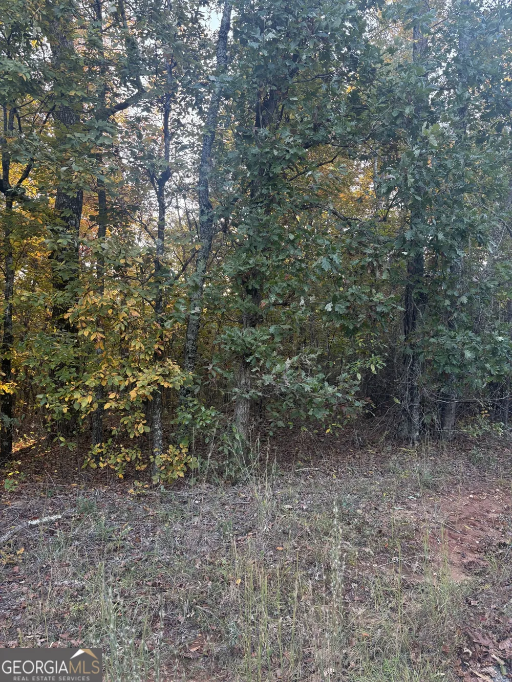 105 Magnolia DR NW Milledgeville, GA 31061